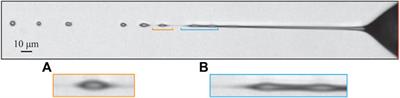 An experimental study of liquid micro-jets produced with a gas dynamic virtual nozzle under the influence of an electric field